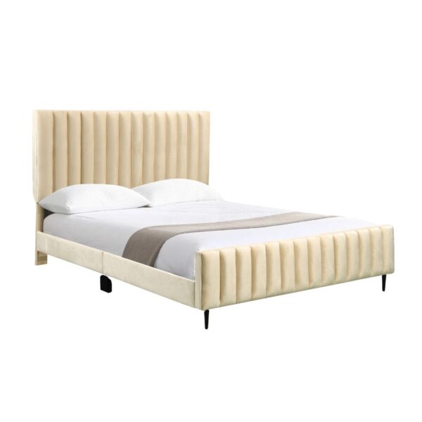 HTS-001 BED